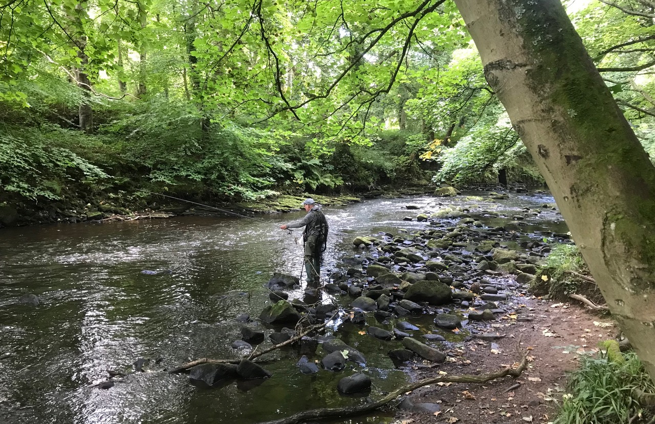 Fwd: Chris – River Don			
					</div><!-- .entry-content -->
		
		<footer>
		
		
		
					
					</footer><!-- .entry-meta -->
	</article><!-- #post -->
				
											
				
		
<hr class=