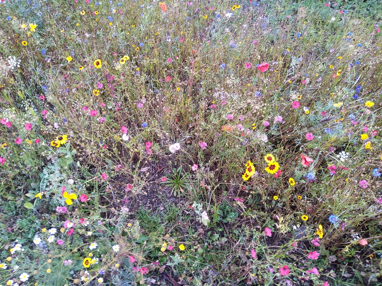 Fwd: Darren Bark Wild flowers at Monkbridge island			
					</div><!-- .entry-content -->
		
		<footer>
		
		
		
					
					</footer><!-- .entry-meta -->
	</article><!-- #post -->
				
											
				
		
<hr class=