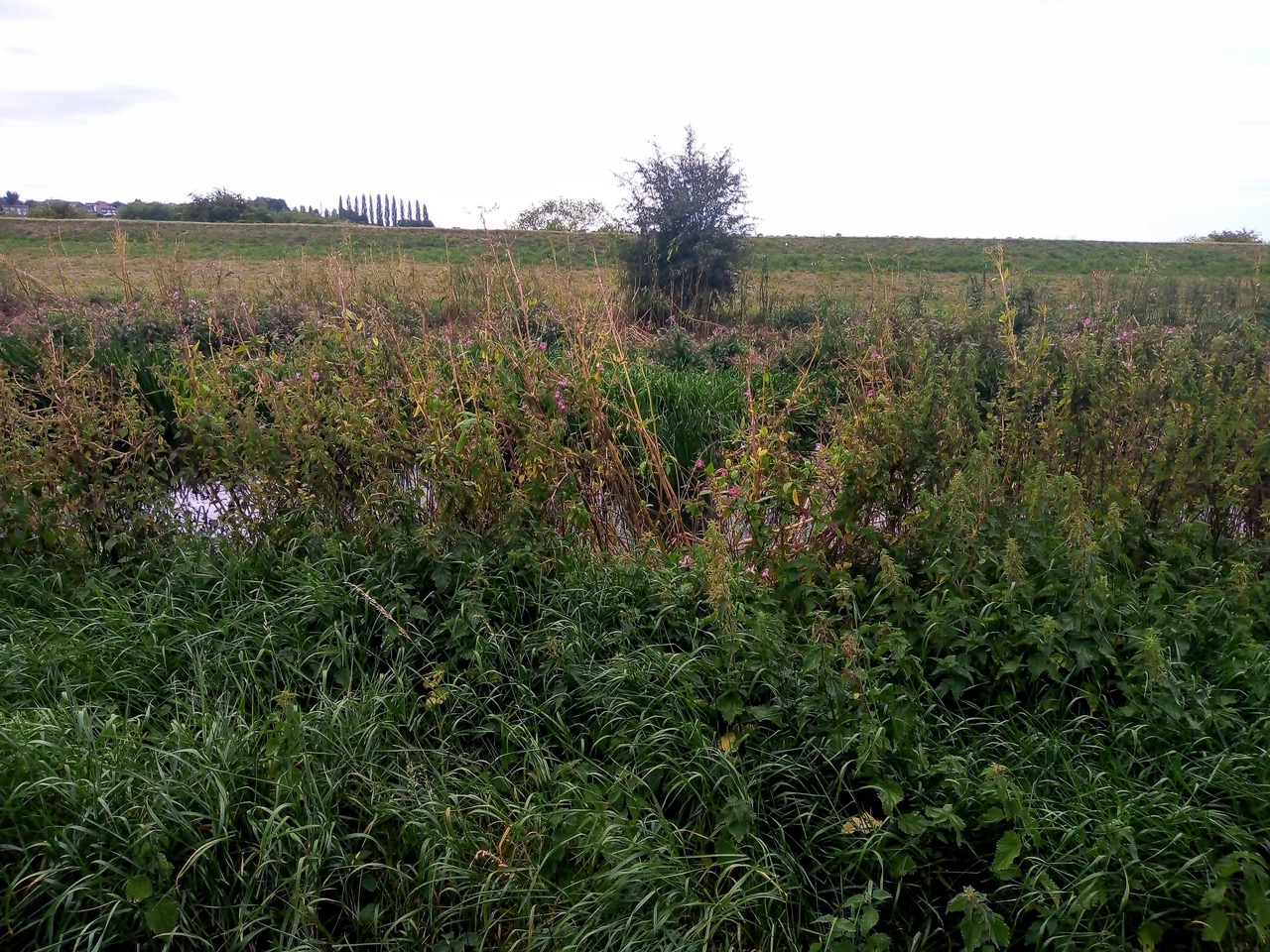 Fwd: Darren Bark Denaby Ings Nature Reserve			
					</div><!-- .entry-content -->
		
		<footer>
		
		
		
					
					</footer><!-- .entry-meta -->
	</article><!-- #post -->
				
											
				
		
<hr class=