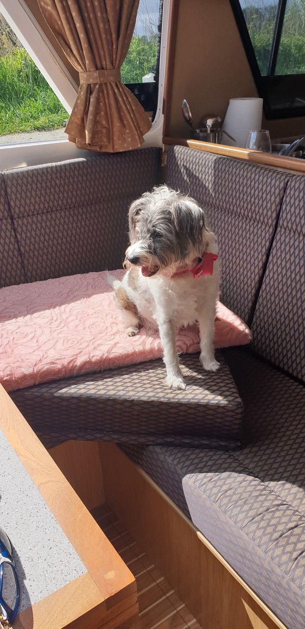 Fwd: lucy the terrier			
					</div><!-- .entry-content -->
		
		<footer>
		
		
		
					
					</footer><!-- .entry-meta -->
	</article><!-- #post -->
				
											
				
		
<hr class=