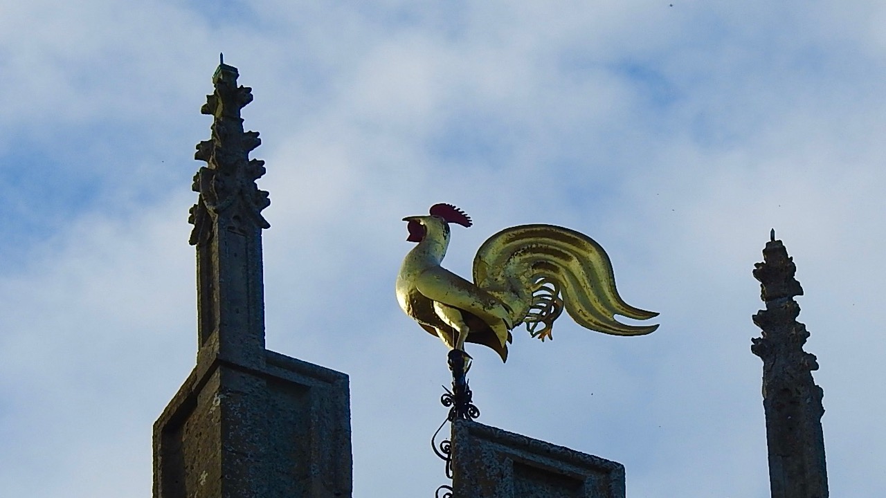 Fwd: Rotherham Minster Weather Cock by Steve Gregory			
					</div><!-- .entry-content -->
		
		<footer>
		
		
		
					
					</footer><!-- .entry-meta -->
	</article><!-- #post -->
				
											
				
		
<hr class=