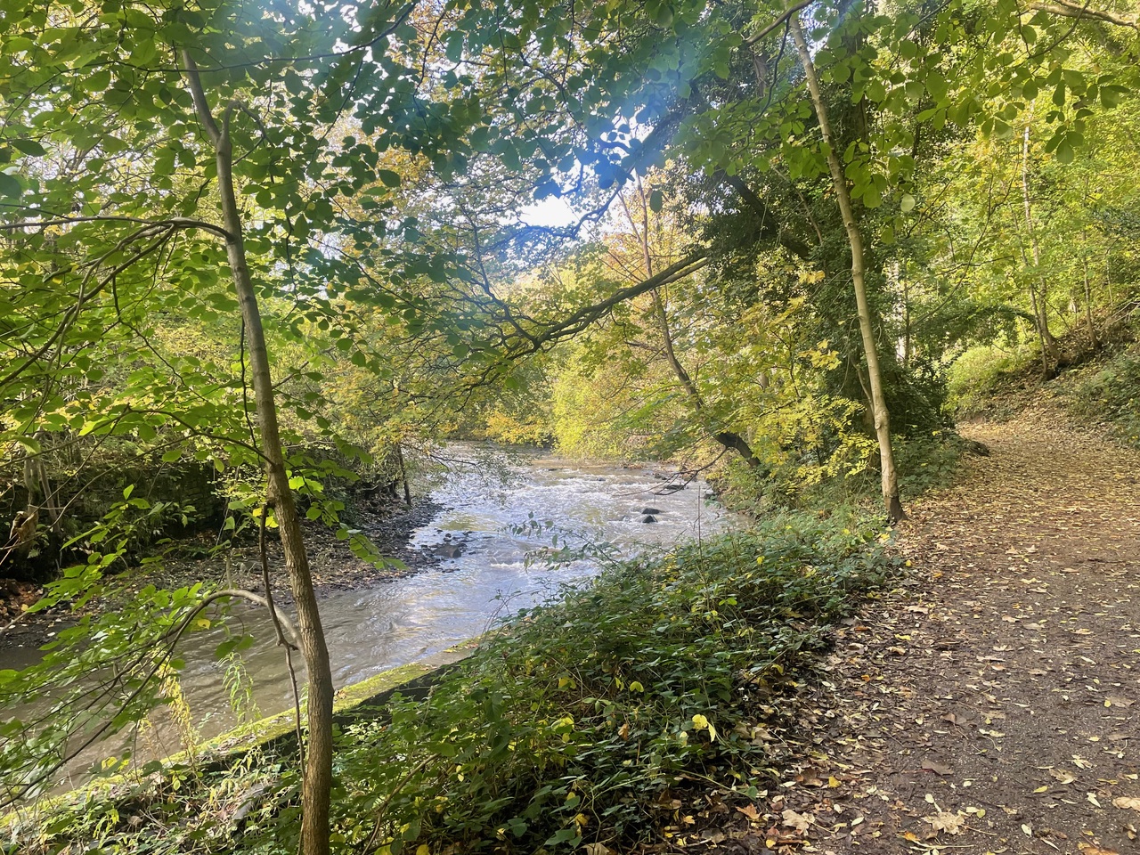 Fwd: Beeley Woods			
					</div><!-- .entry-content -->
		
		<footer>
		
		
		
					
					</footer><!-- .entry-meta -->
	</article><!-- #post -->
				
											
				
		
<hr class=