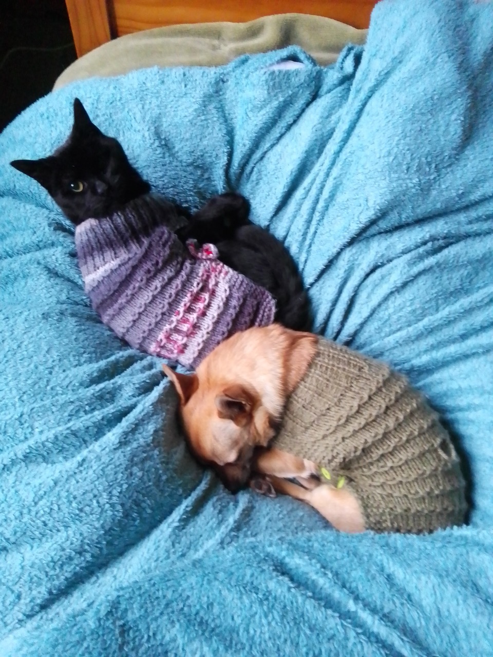 Fwd: Harold & Eddie			
					</div><!-- .entry-content -->
		
		<footer>
		
		
		
					
					</footer><!-- .entry-meta -->
	</article><!-- #post -->
				
											
				
		
<hr class=