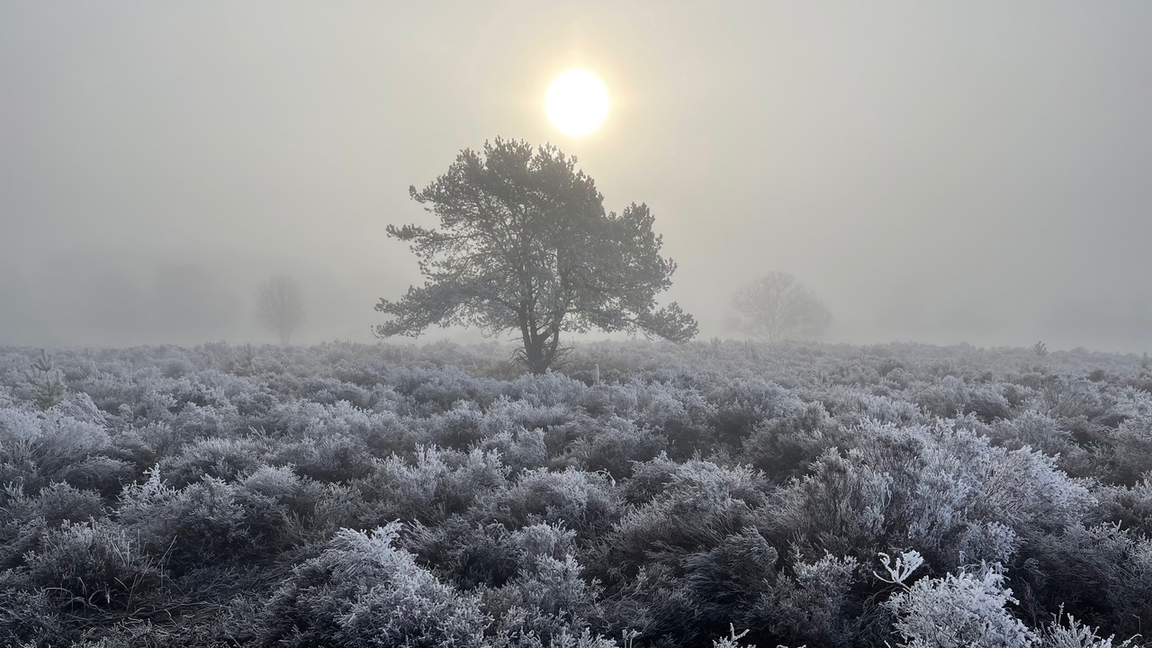 Fwd: Frosty Sunrise by Steve Gregory			
					</div><!-- .entry-content -->
		
		<footer>
		
		
		
					
					</footer><!-- .entry-meta -->
	</article><!-- #post -->
				
											
				
		
<hr class=