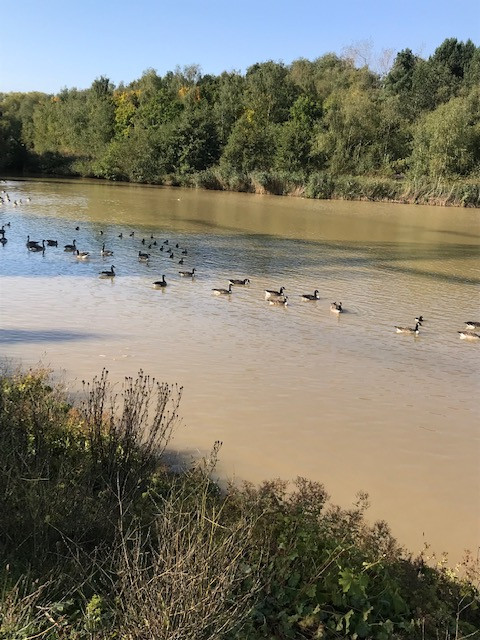 Fwd: Poolsbrook country park			
					</div><!-- .entry-content -->
		
		<footer>
		
		
		
					
					</footer><!-- .entry-meta -->
	</article><!-- #post -->
				
											
				
		
<hr class=
