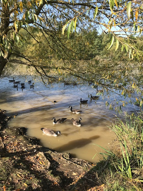 Fwd: Poolsbrook Country Park			
					</div><!-- .entry-content -->
		
		<footer>
		
		
		
					
					</footer><!-- .entry-meta -->
	</article><!-- #post -->
				
											
				
		
<hr class=
