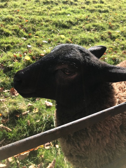 Fwd: Graves Park Resident			
					</div><!-- .entry-content -->
		
		<footer>
		
		
		
					
					</footer><!-- .entry-meta -->
	</article><!-- #post -->
				
											
				
		
<hr class=