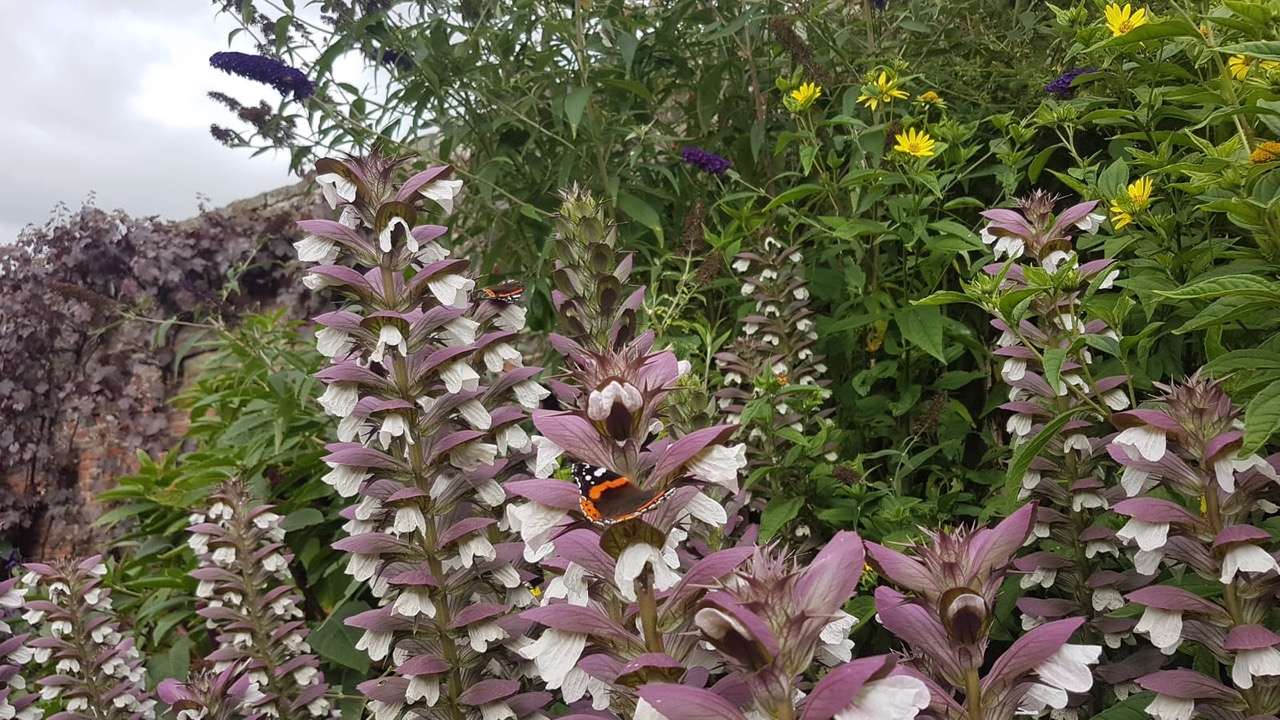 Fwd: Flowers Sheffield			
					</div><!-- .entry-content -->
		
		<footer>
		
		
		
					
					</footer><!-- .entry-meta -->
	</article><!-- #post -->
				
											
				
		
<hr class=
