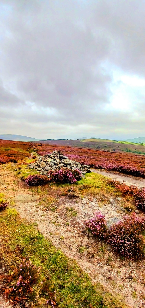 Fwd: By Mark W – Middle Moor.			
					</div><!-- .entry-content -->
		
		<footer>
		
		
		
					
					</footer><!-- .entry-meta -->
	</article><!-- #post -->
				
											
				
		
<hr class=