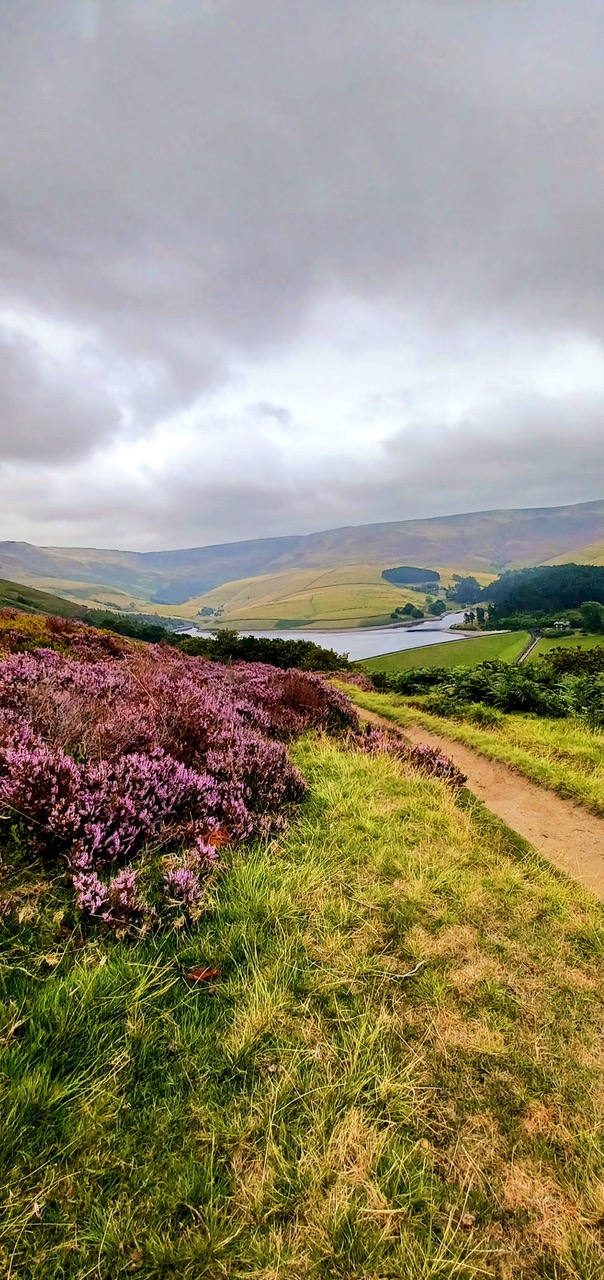 Fwd: By Mark W – Kinder reservoir			
					</div><!-- .entry-content -->
		
		<footer>
		
		
		
					
					</footer><!-- .entry-meta -->
	</article><!-- #post -->
				
											
				
		
<hr class=