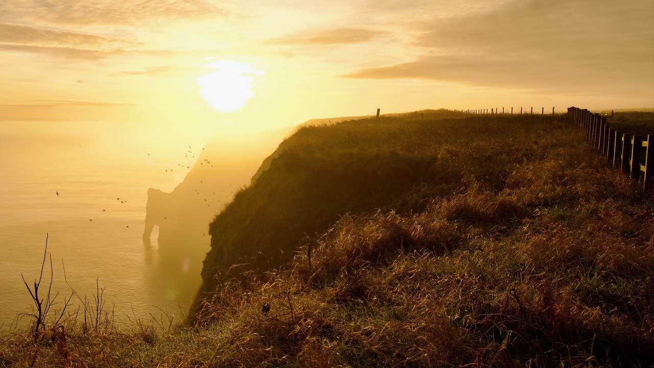 Fwd: Bempton Cliffs by Steve Gregory			
					</div><!-- .entry-content -->
		
		<footer>
		
		
		
					
					</footer><!-- .entry-meta -->
	</article><!-- #post -->
				
											
				
		
<hr class=