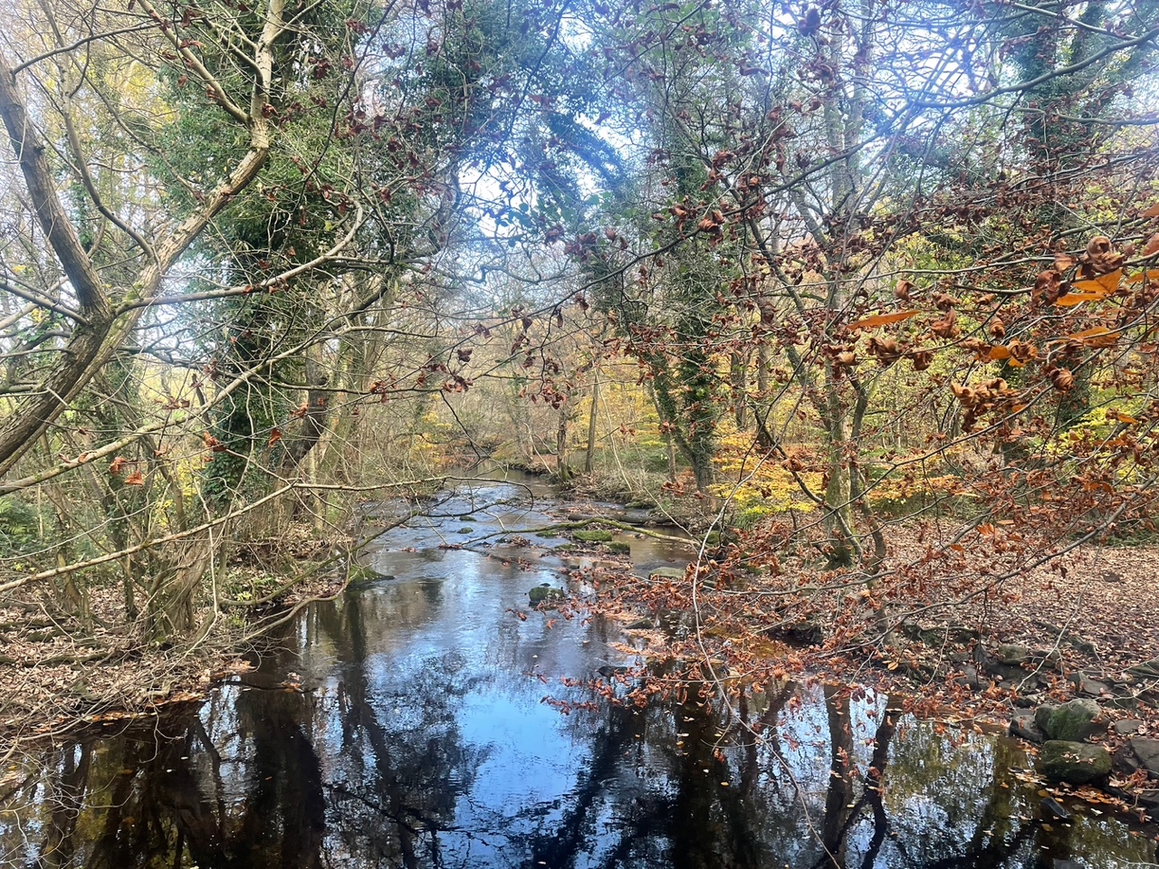 Fwd: River Loxley			
					</div><!-- .entry-content -->
		
		<footer>
		
		
		
					
					</footer><!-- .entry-meta -->
	</article><!-- #post -->
				
											
				
		
<hr class=