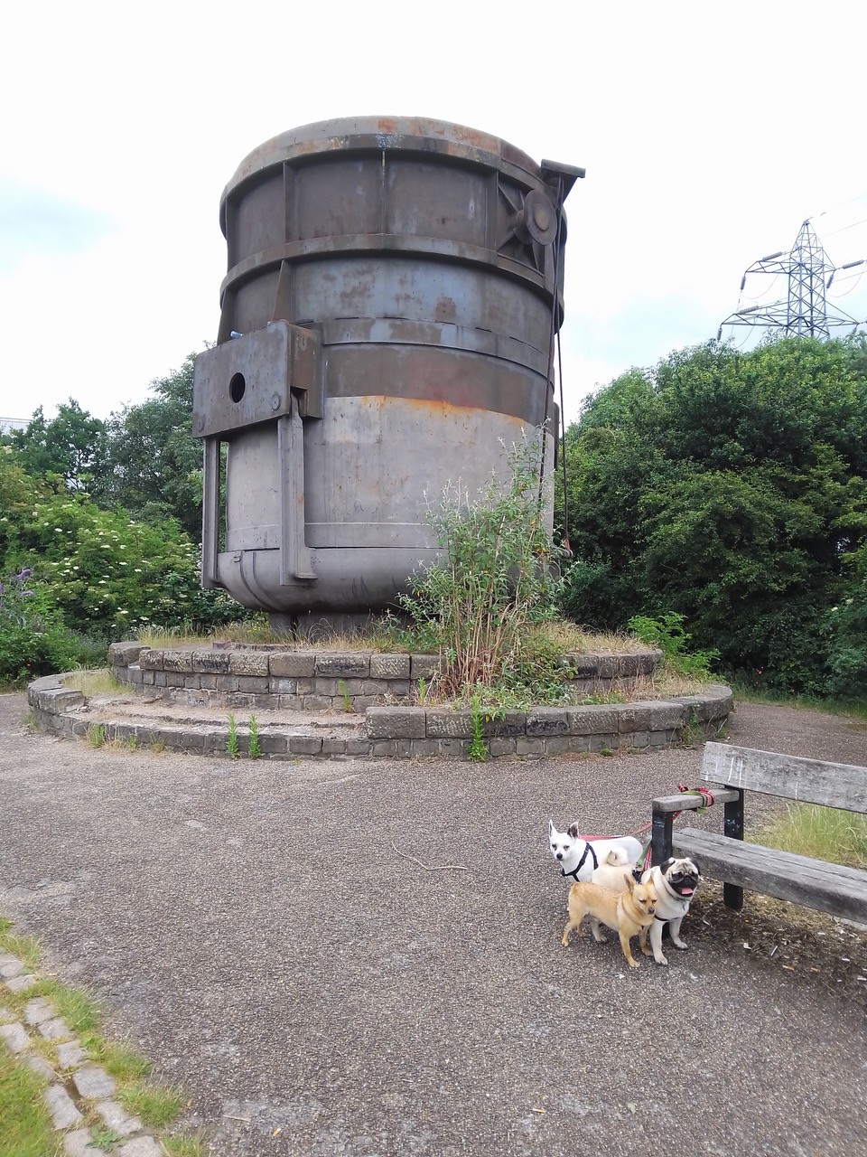 Fwd: The smelting pot near Sheffield arena			
					</div><!-- .entry-content -->
		
		<footer>
		
		
		
					
					</footer><!-- .entry-meta -->
	</article><!-- #post -->
				
											
				
		
<hr class=