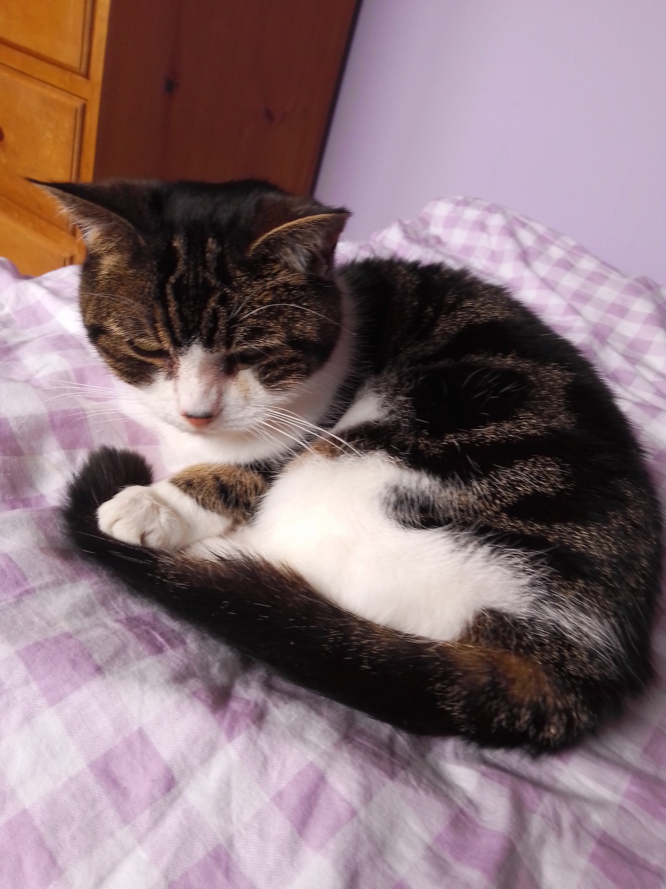 Fwd: Tinkerbell 16 years old			
					</div><!-- .entry-content -->
		
		<footer>
		
		
		
					
					</footer><!-- .entry-meta -->
	</article><!-- #post -->
				
											
				
		
<hr class=