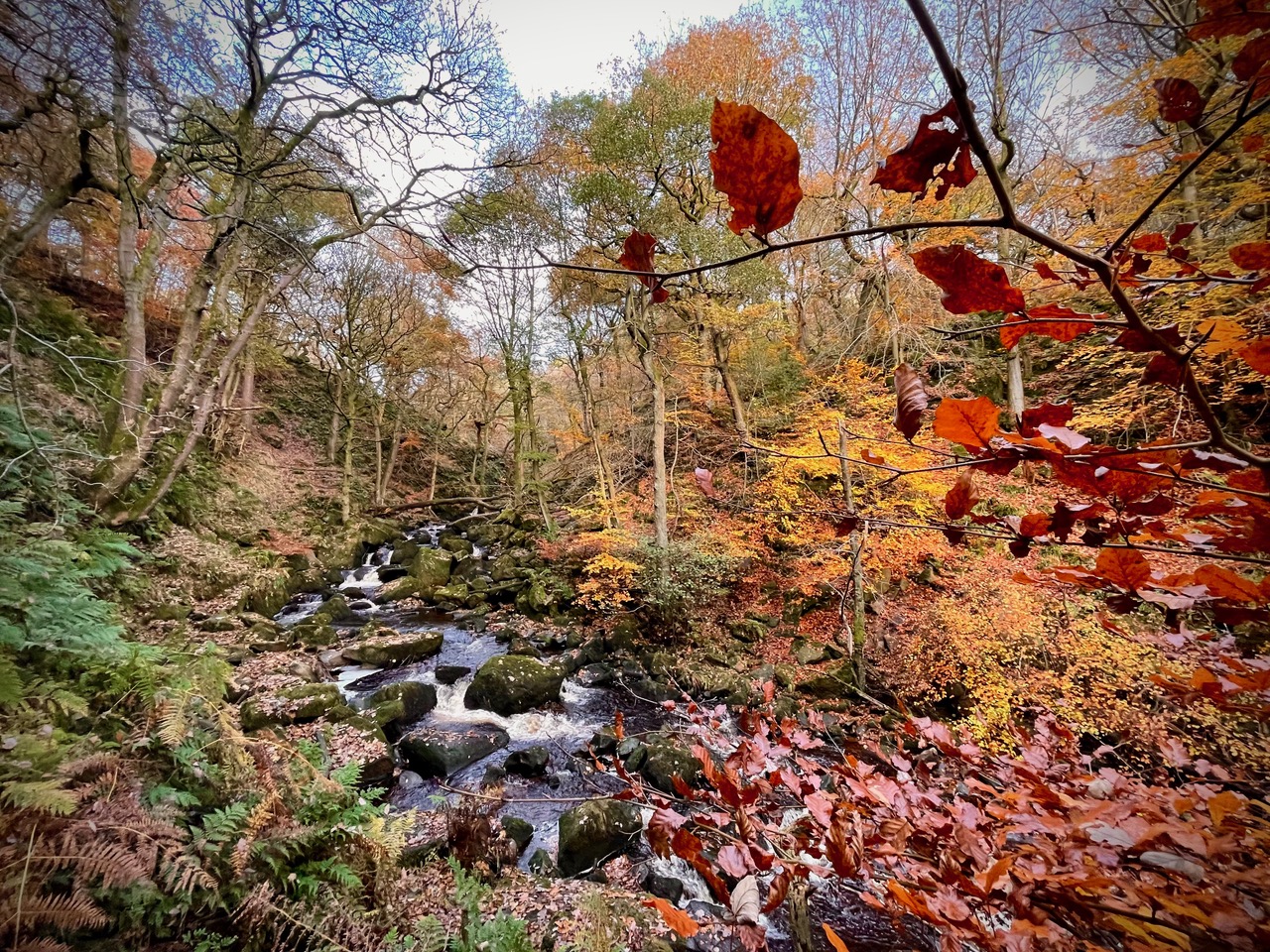 Fwd: Autumn Photo			
					</div><!-- .entry-content -->
		
		<footer>
		
		
		
					
					</footer><!-- .entry-meta -->
	</article><!-- #post -->
				
											
				
		
<hr class=