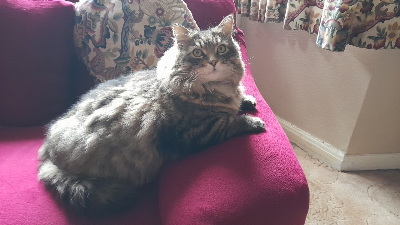 Fwd: Gail Ellis, Ollie			
					</div><!-- .entry-content -->
		
		<footer>
		
		
		
					
					</footer><!-- .entry-meta -->
	</article><!-- #post -->
				
											
				
		
<hr class=