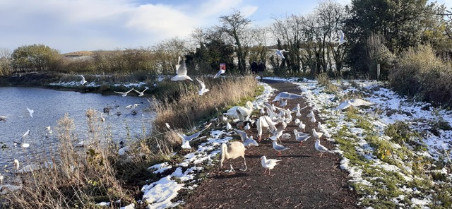 Fwd: Thrybergh Country park. Jean Cusworth			
					</div><!-- .entry-content -->
		
		<footer>
		
		
		
					
					</footer><!-- .entry-meta -->
	</article><!-- #post -->
				
											
				
		
<hr class=