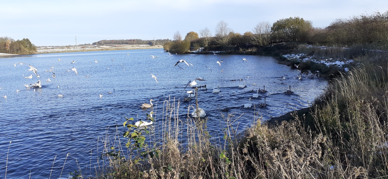 Fwd: Thrybergh Country park. From Jean Cusworth			
					</div><!-- .entry-content -->
		
		<footer>
		
		
		
					
					</footer><!-- .entry-meta -->
	</article><!-- #post -->
				
											
				
		
<hr class=