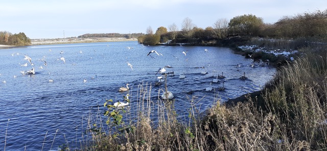 Fwd: Thrybergh Country park. From Jean Cusworth			
					</div><!-- .entry-content -->
		
		<footer>
		
		
		
					
					</footer><!-- .entry-meta -->
	</article><!-- #post -->
				
											
				
		
<hr class=