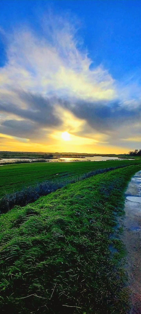Fwd: By MJW – Idle Valley			
					</div><!-- .entry-content -->
		
		<footer>
		
		
		
					
					</footer><!-- .entry-meta -->
	</article><!-- #post -->
				
											
				
		
<hr class=