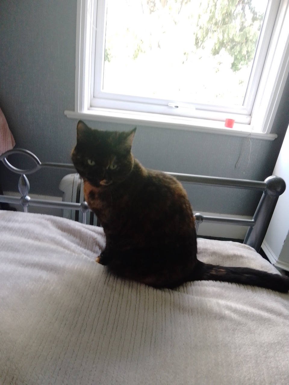 Fwd: Smudge			
					</div><!-- .entry-content -->
		
		<footer>
		
		
		
					
					</footer><!-- .entry-meta -->
	</article><!-- #post -->
				
											
				
		
<hr class=