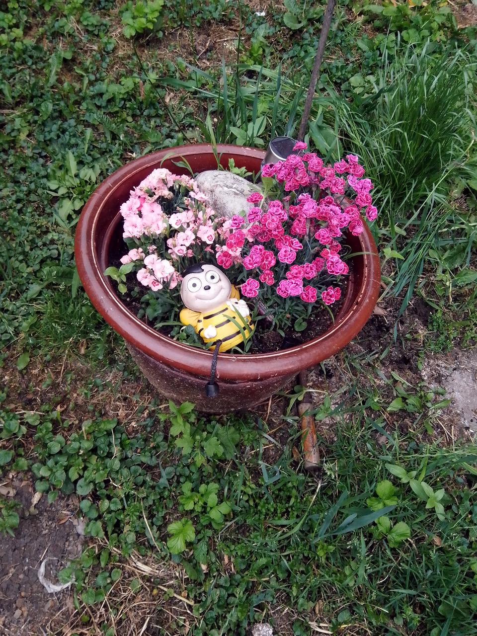 Fwd: Happy bee			
					</div><!-- .entry-content -->
		
		<footer>
		
		
		
					
					</footer><!-- .entry-meta -->
	</article><!-- #post -->
				
											
				
		
<hr class=