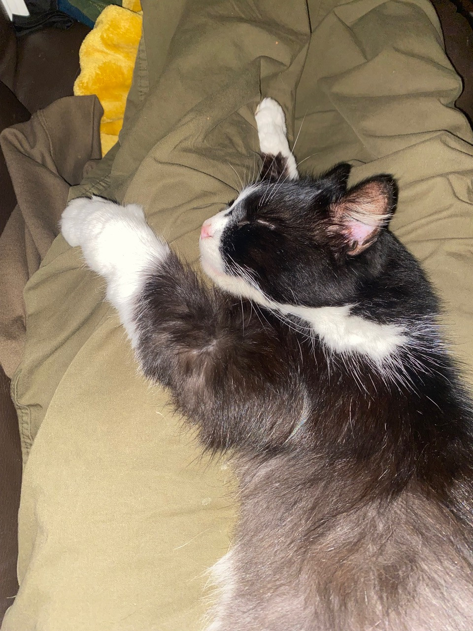 Fwd:			
					</div><!-- .entry-content -->
		
		<footer>
		
		
		
					
					</footer><!-- .entry-meta -->
	</article><!-- #post -->
				
											
				
		
<hr class=