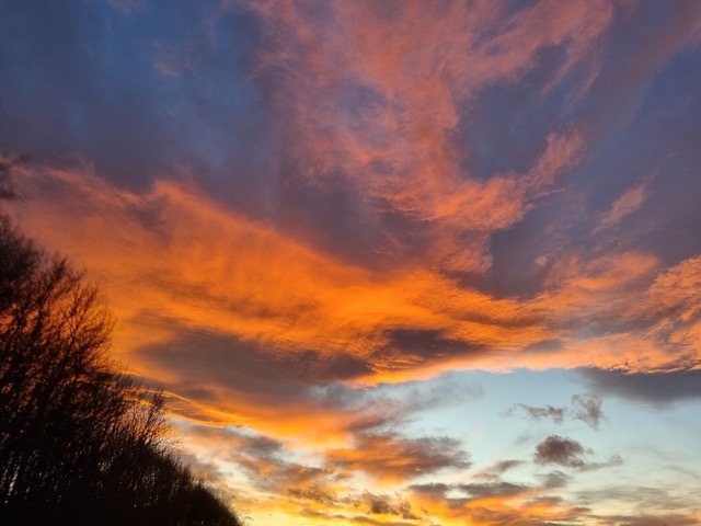 Fwd: sue Fletcher			
					</div><!-- .entry-content -->
		
		<footer>
		
		
		
					
					</footer><!-- .entry-meta -->
	</article><!-- #post -->
				
											
				
		
<hr class=