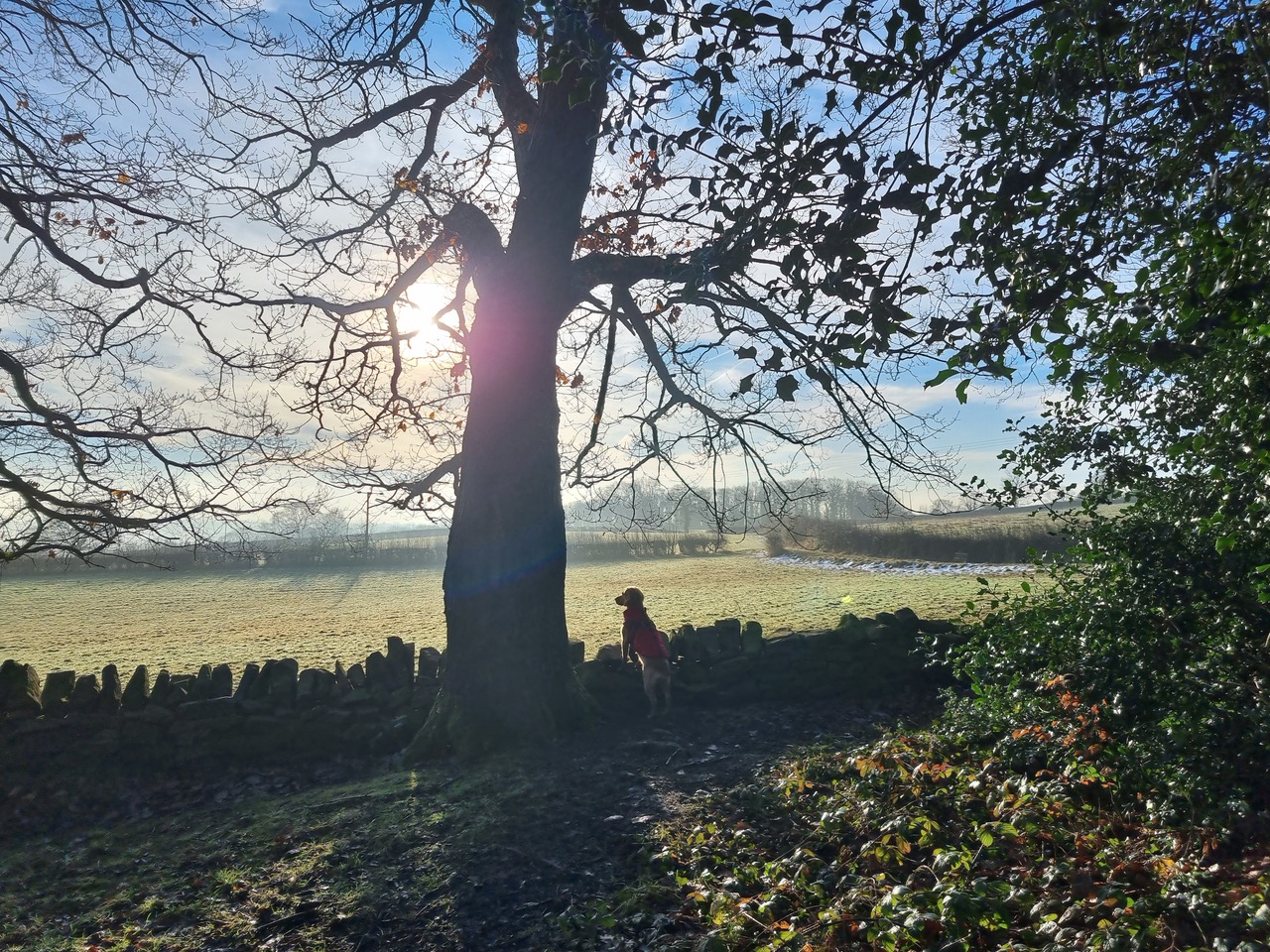 Fwd: Sue Fletcher. Chapeltown Woods			
					</div><!-- .entry-content -->
		
		<footer>
		
		
		
					
					</footer><!-- .entry-meta -->
	</article><!-- #post -->
				
											
				
		
<hr class=