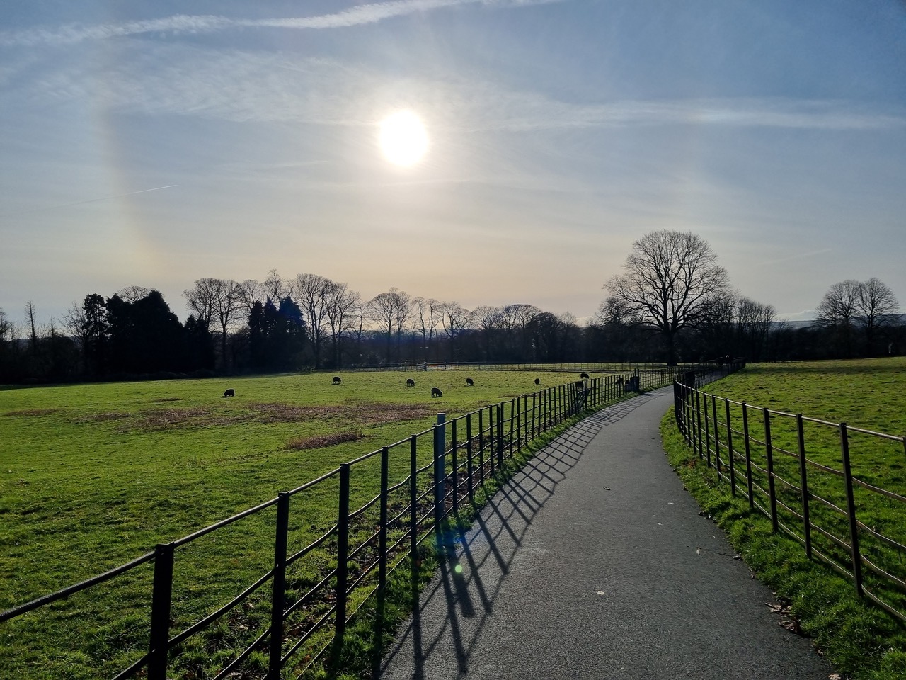 Fwd: Graves Park, Sheffield			
					</div><!-- .entry-content -->
		
		<footer>
		
		
		
					
					</footer><!-- .entry-meta -->
	</article><!-- #post -->
				
											
				
		
<hr class=
