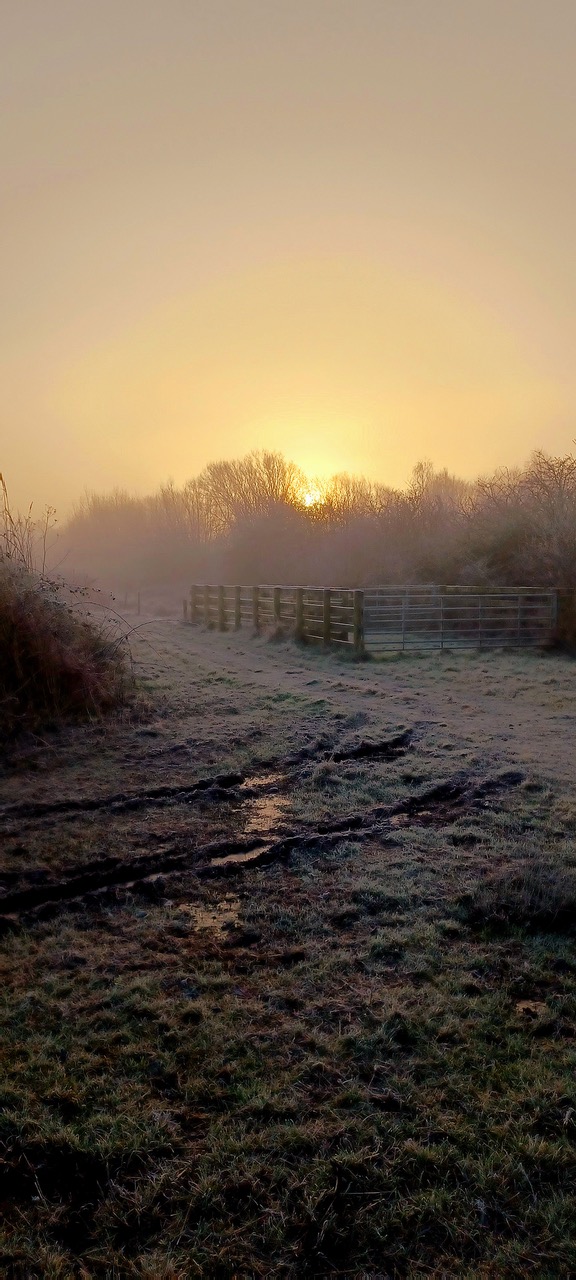 Fwd: By MJW – Idle Valley			
					</div><!-- .entry-content -->
		
		<footer>
		
		
		
					
					</footer><!-- .entry-meta -->
	</article><!-- #post -->
				
											
				
		
<hr class=