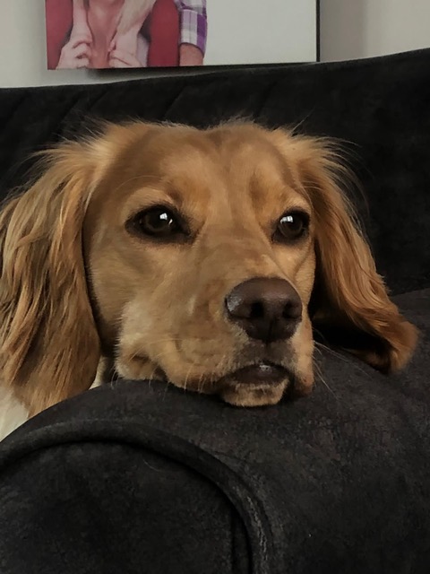Fwd: Teddie			
					</div><!-- .entry-content -->
		
		<footer>
		
		
		
					
					</footer><!-- .entry-meta -->
	</article><!-- #post -->
				
											
				
		
<hr class=
