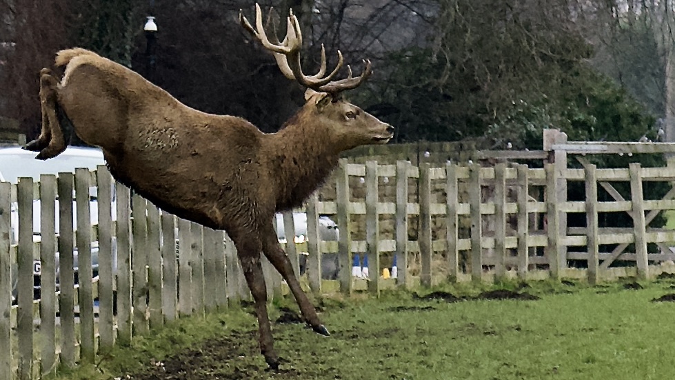 Fwd: &lsquo;Staggering&rsquo; Wentworth Woodhouse, Steve Gregory			
					</div><!-- .entry-content -->
		
		<footer>
		
		
		
					
					</footer><!-- .entry-meta -->
	</article><!-- #post -->
				
											
				
		
<hr class=