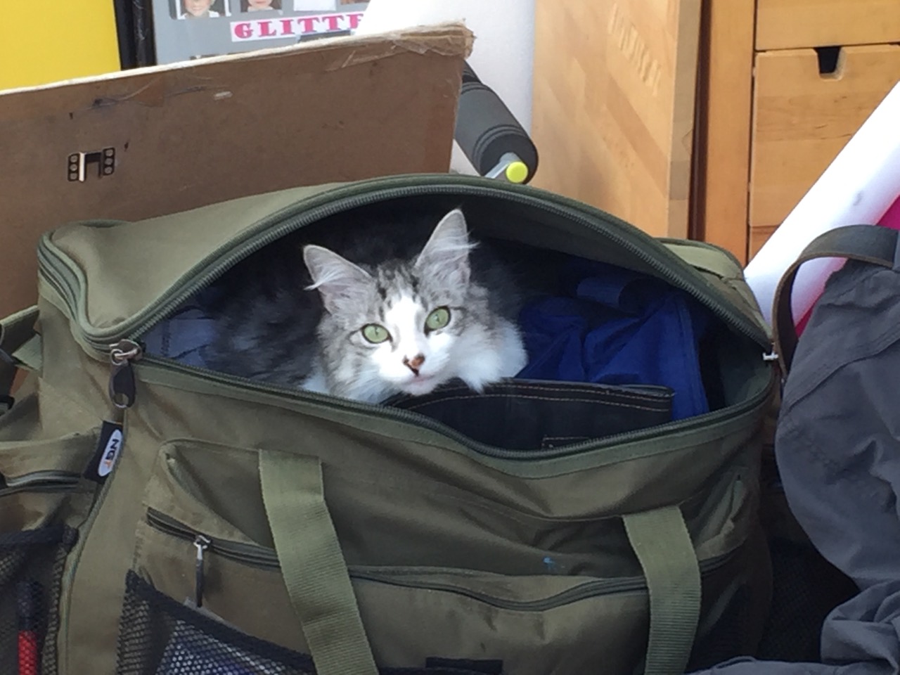 Fwd: Photo			
					</div><!-- .entry-content -->
		
		<footer>
		
		
		
					
					</footer><!-- .entry-meta -->
	</article><!-- #post -->
				
											
				
		
<hr class=