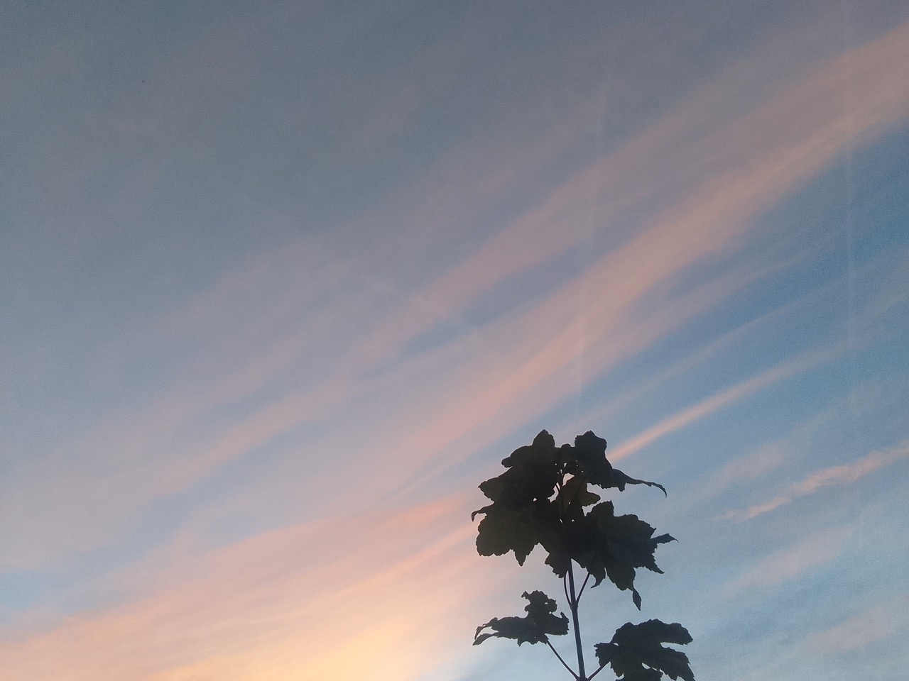 Fwd: Photos			
					</div><!-- .entry-content -->
		
		<footer>
		
		
		
					
					</footer><!-- .entry-meta -->
	</article><!-- #post -->
				
											
				
		
<hr class=