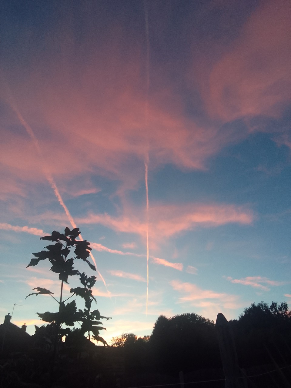 Fwd: Photos			
					</div><!-- .entry-content -->
		
		<footer>
		
		
		
					
					</footer><!-- .entry-meta -->
	</article><!-- #post -->
				
											
				
		
<hr class=