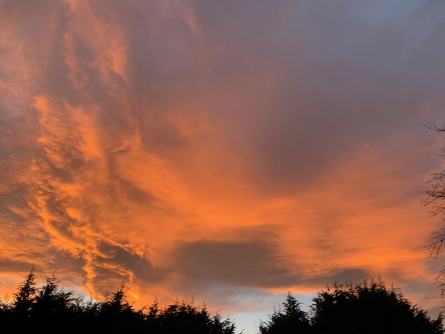 Fwd: Sky over Worksop			
					</div><!-- .entry-content -->
		
		<footer>
		
		
		
					
					</footer><!-- .entry-meta -->
	</article><!-- #post -->
				
											
				
		
<hr class=