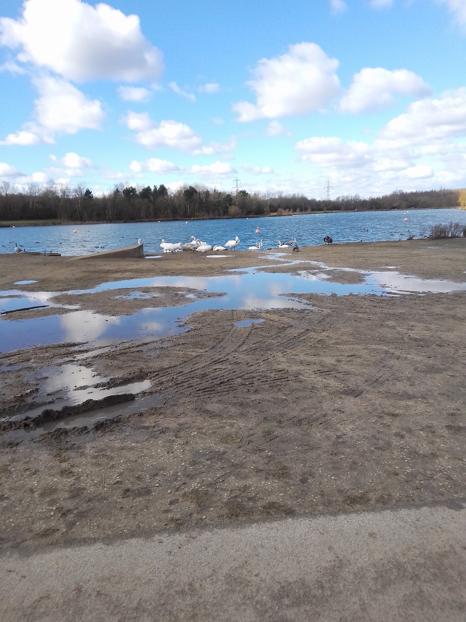 Fwd: Swans at Rother valley			
					</div><!-- .entry-content -->
		
		<footer>
		
		
		
					
					</footer><!-- .entry-meta -->
	</article><!-- #post -->
				
											
				
		
<hr class=