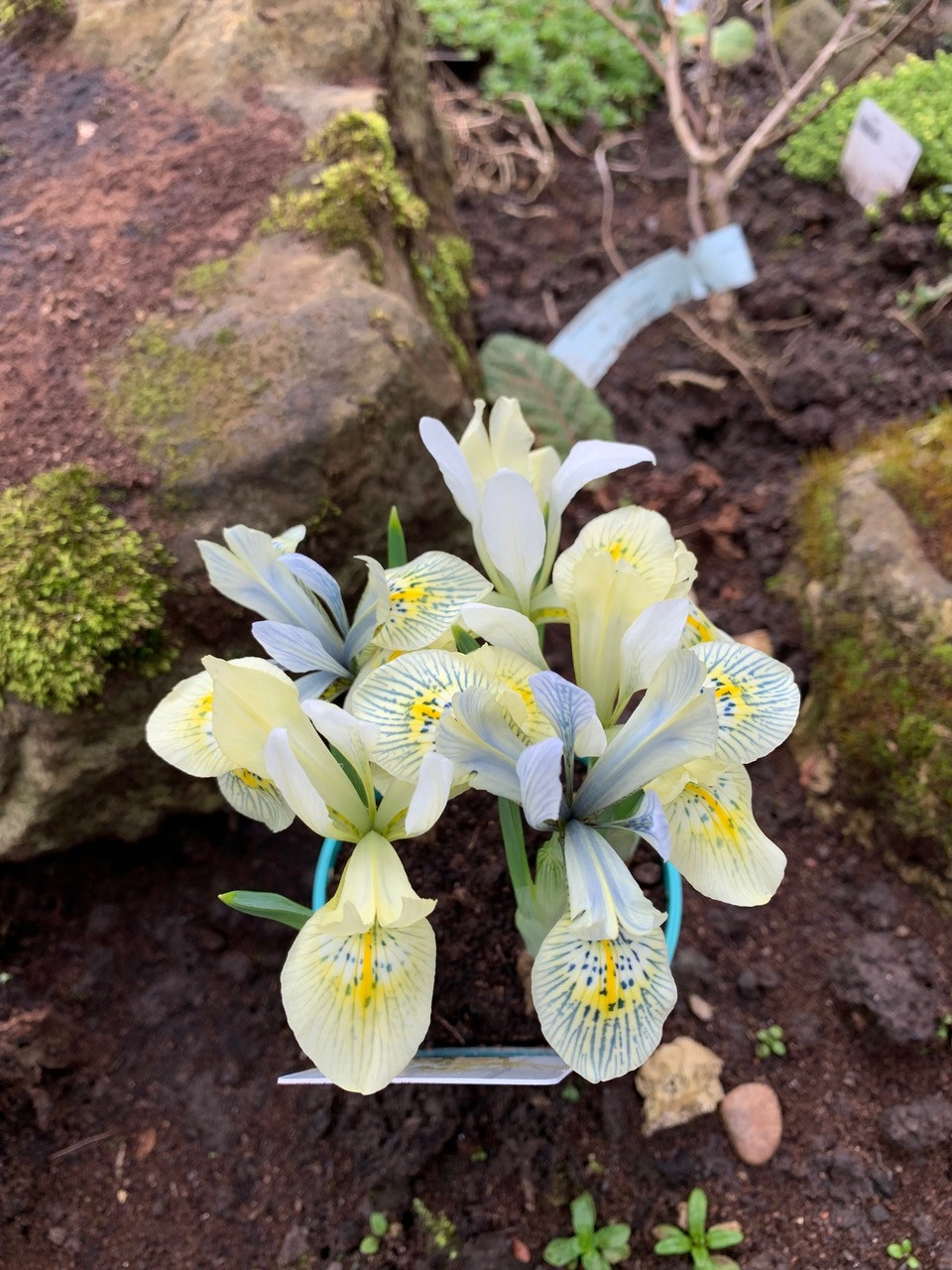 Fwd: Rockery flowers photo by Peter Moorby			
					</div><!-- .entry-content -->
		
		<footer>
		
		
		
					
					</footer><!-- .entry-meta -->
	</article><!-- #post -->
				
											
				
		
<hr class=